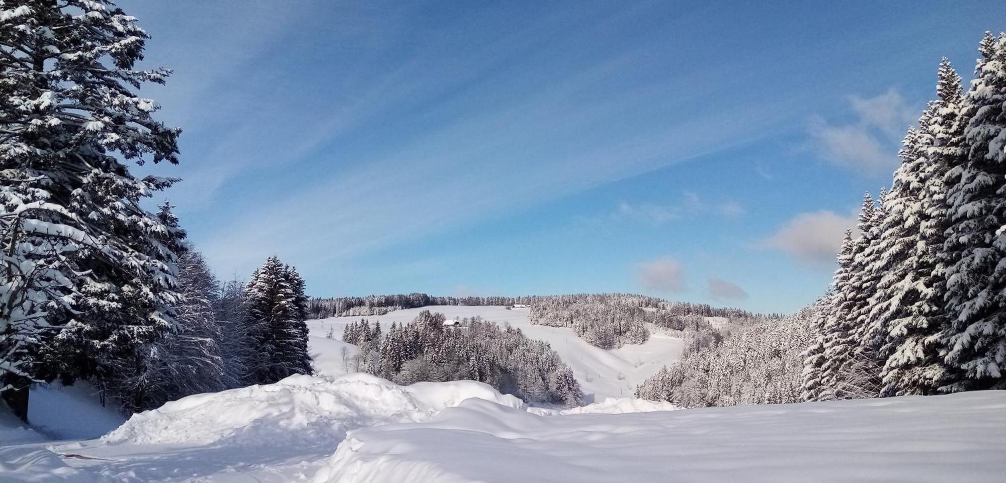 Schreinerhaeusle Naehe Titisee Himmelreich Kültér fotó