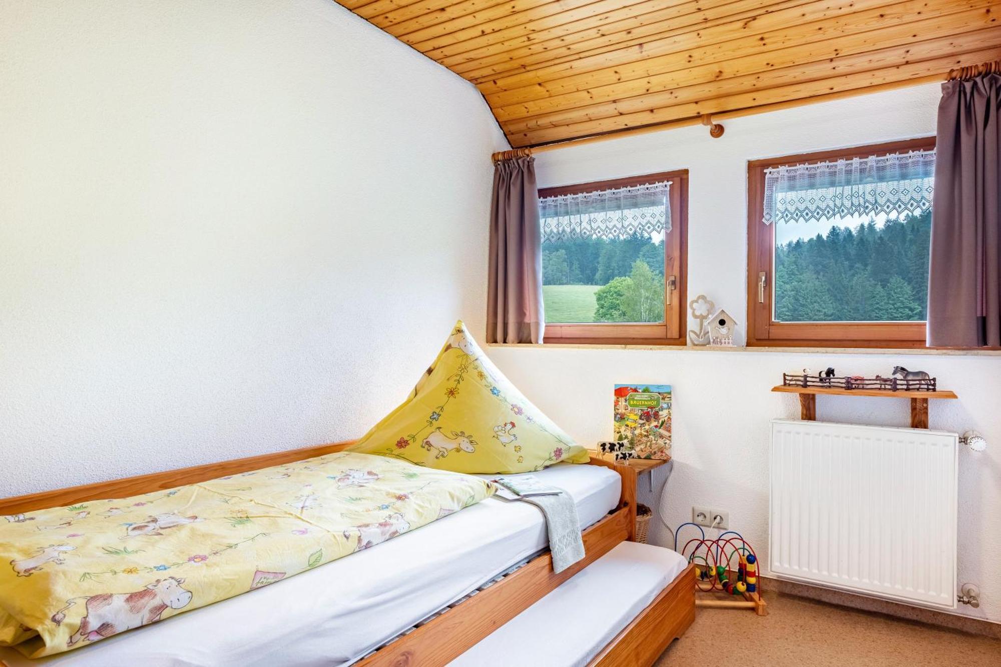 Schreinerhaeusle Naehe Titisee Himmelreich Kültér fotó
