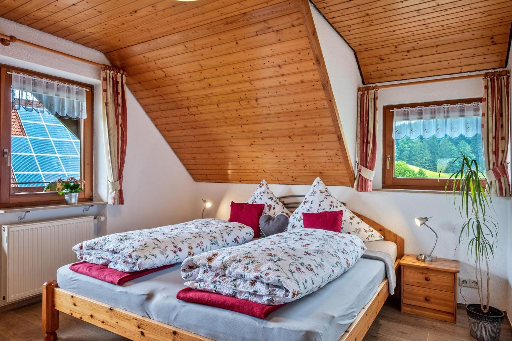 Schreinerhaeusle Naehe Titisee Himmelreich Kültér fotó